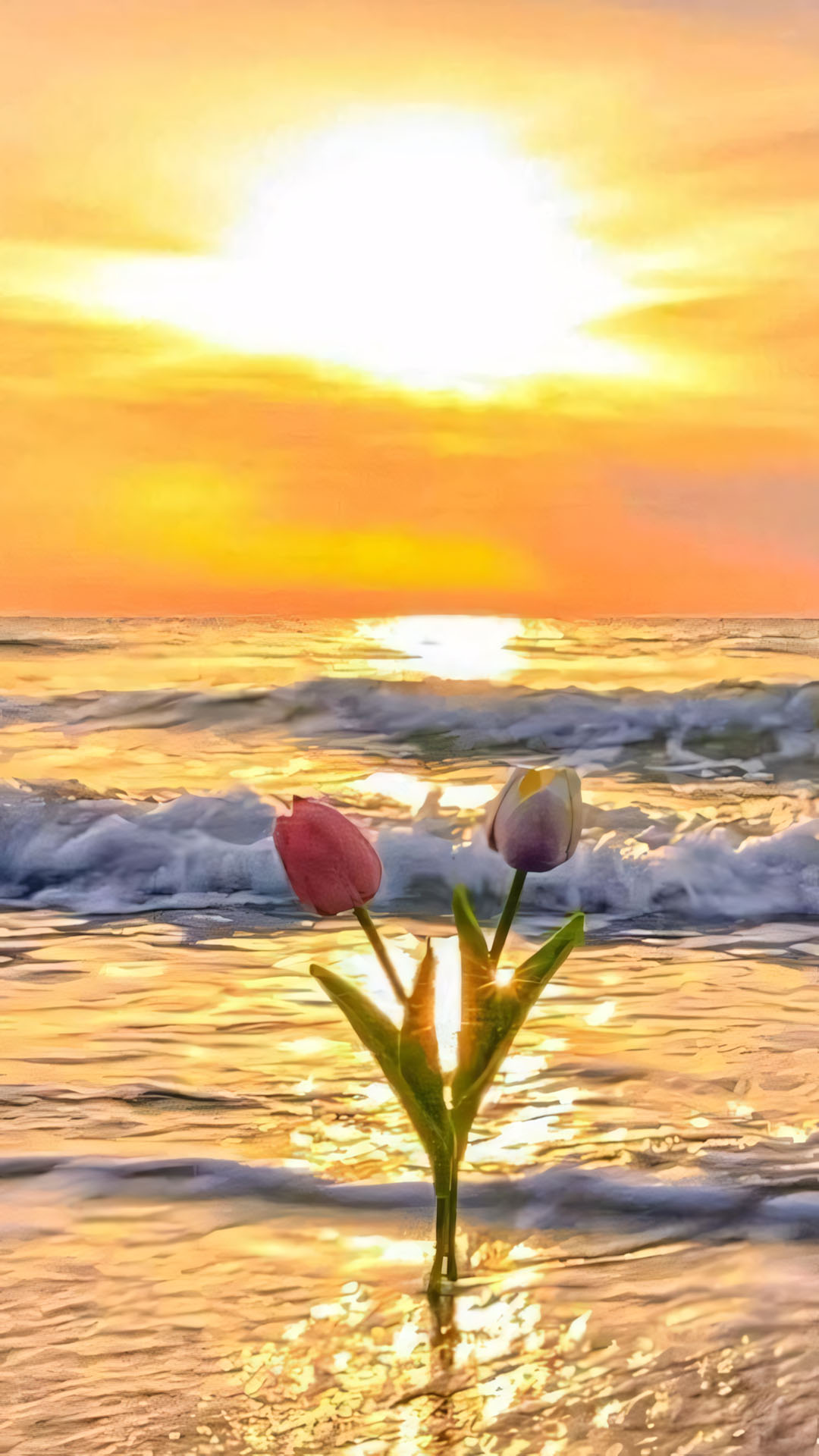 anh hoa tulip chill buon 1920px 1080px full hd 9