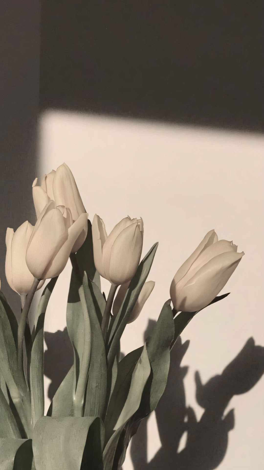 hinh nen dien thoai hoa tulip buon 1920px 1080px full hd 16