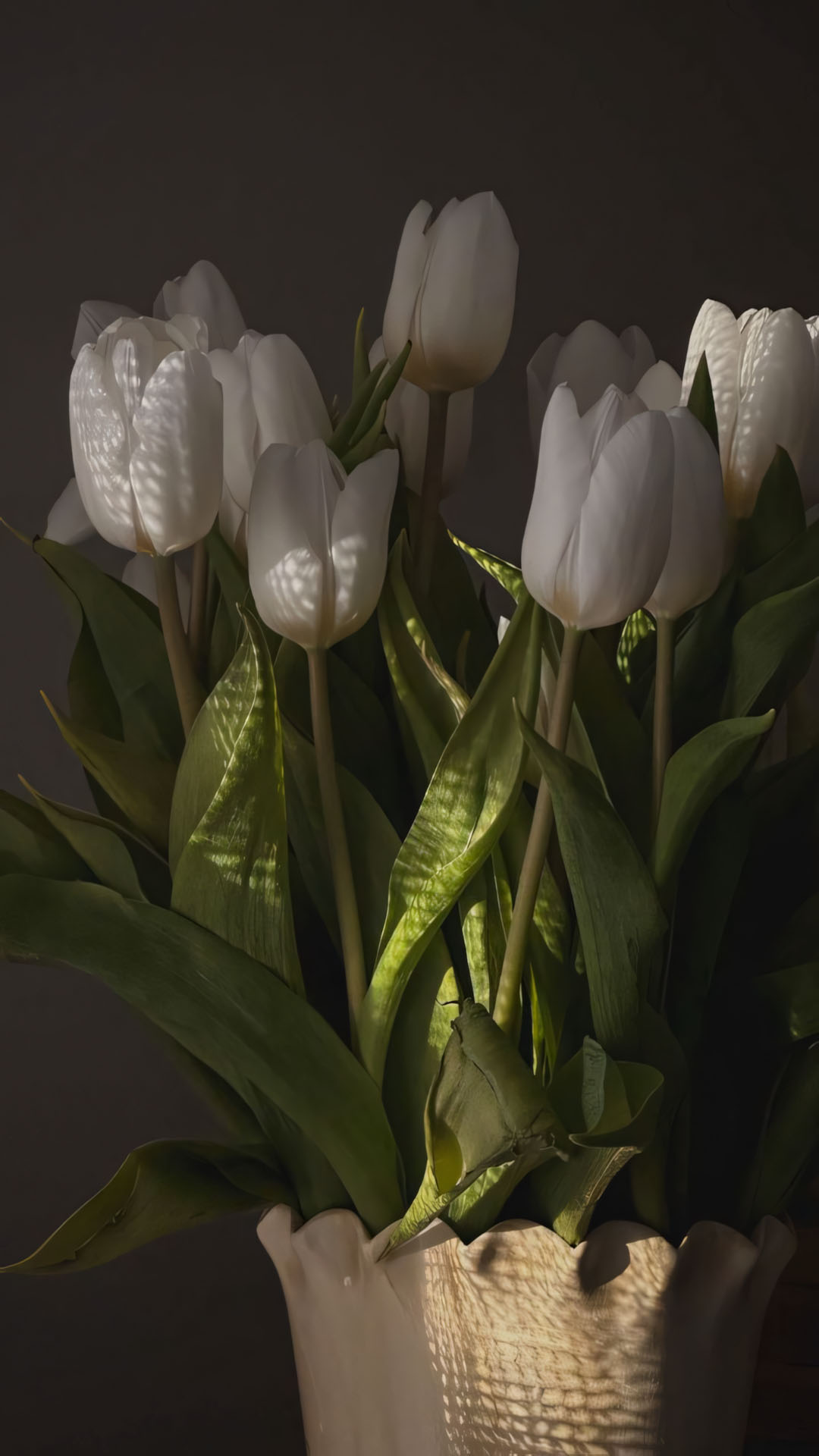 anh hoa tulip trang buon 1920px 1080px full hd 9