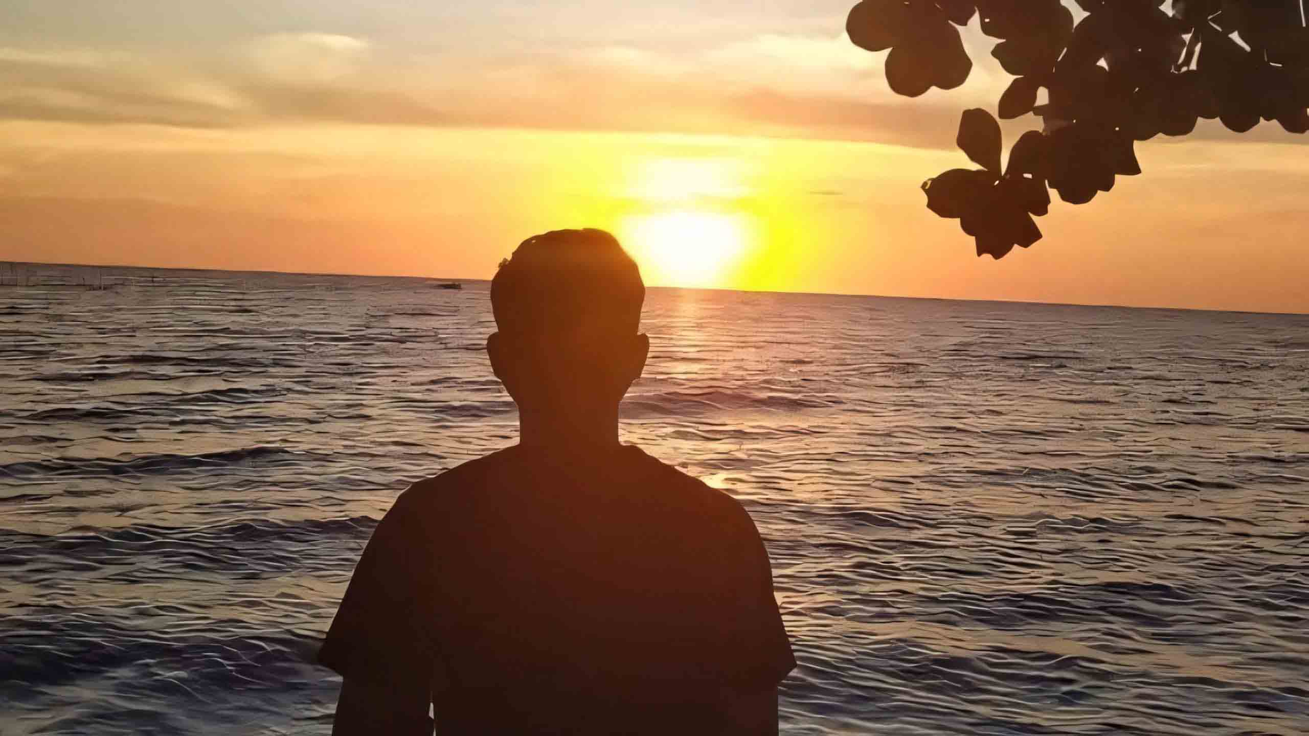 hinh anh hoang hon co don 2560px 1440px 2k 1