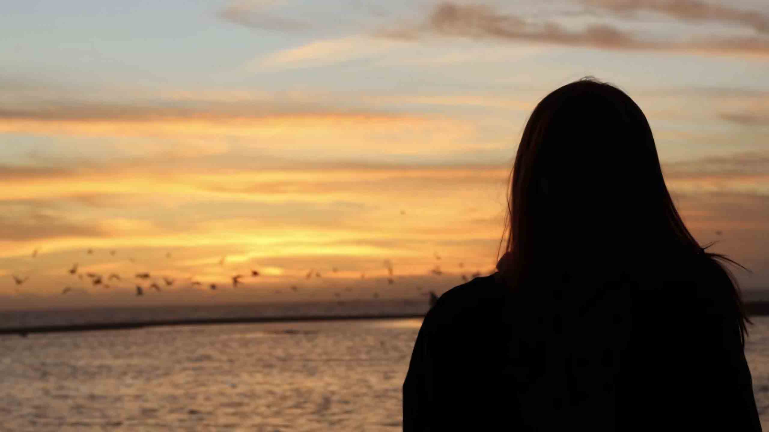 hinh anh hoang hon co don 2560px 1440px 2k 4