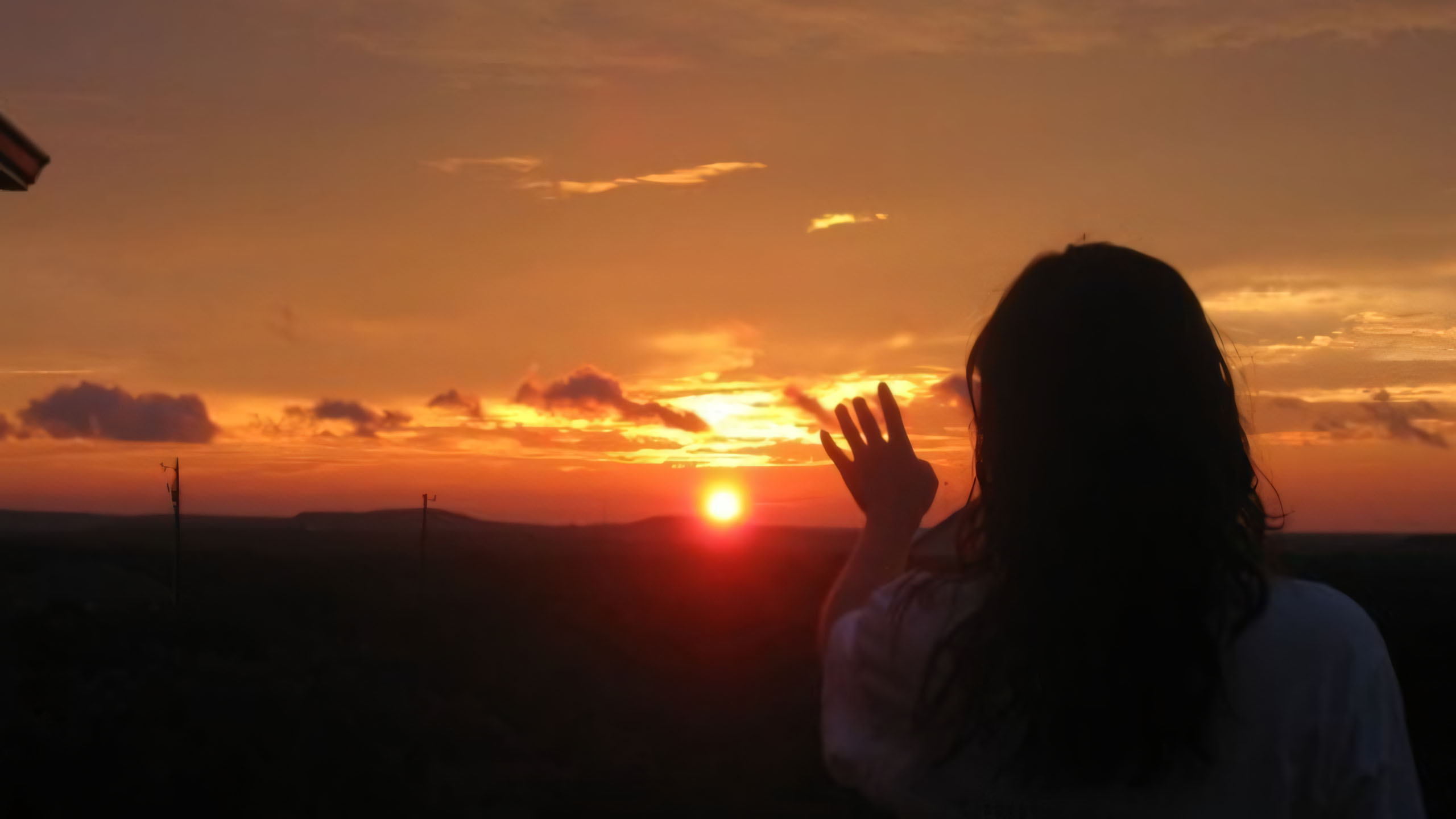 hinh anh hoang hon co don 2560px 1440px 2k 6