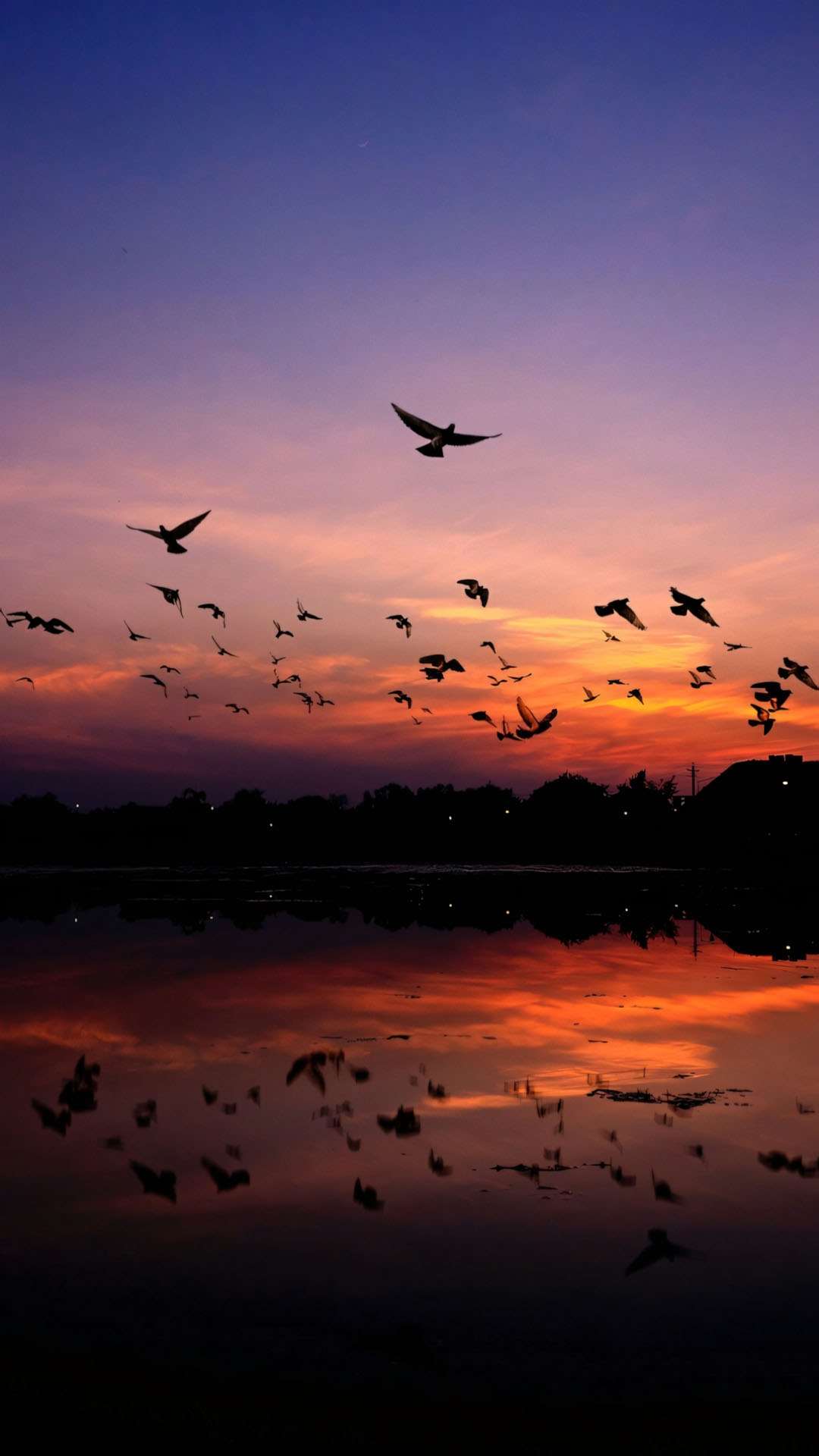 anh bien hoang hon buon 1920px 1080px full hd 8