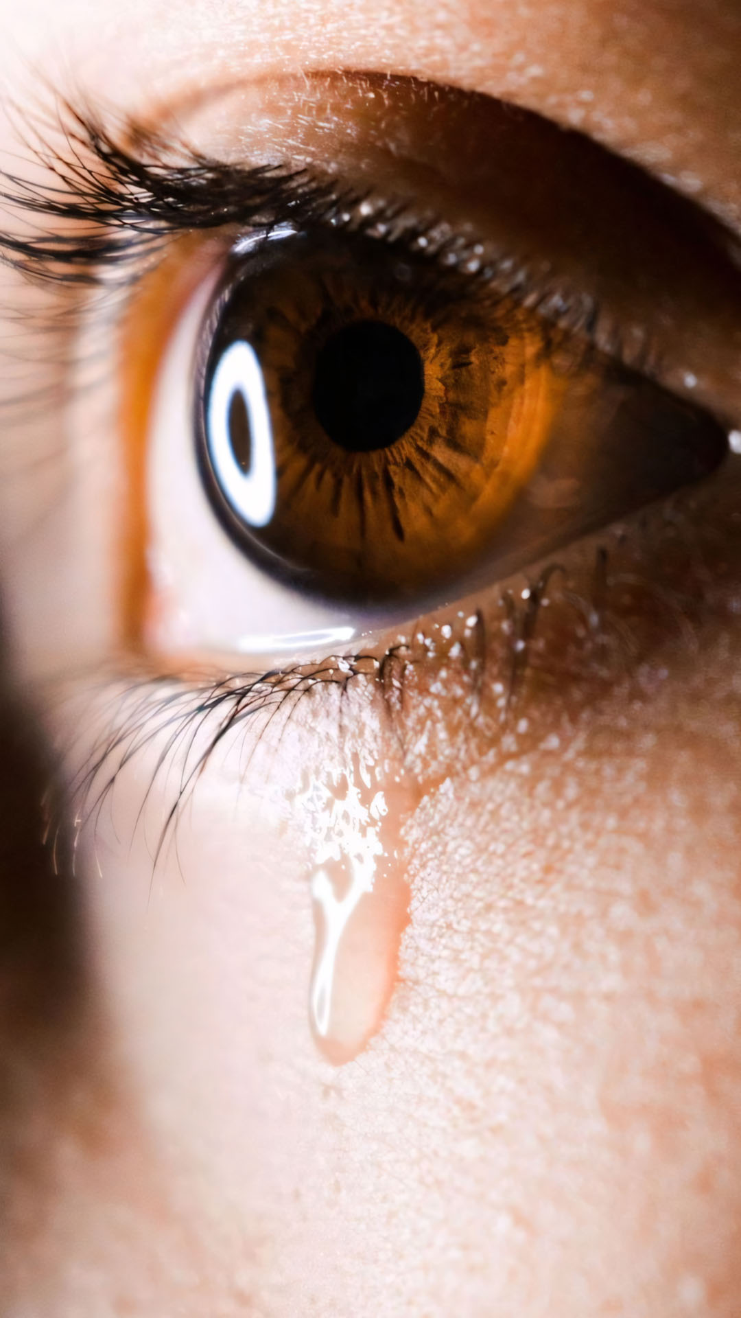 anh mat khoc 1920px 1080px full hd 17