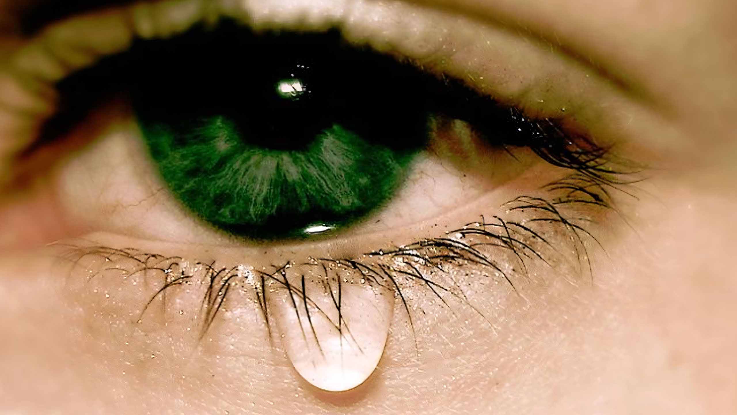 anh giot nuoc mat buon 2560px 1440px 2k 25