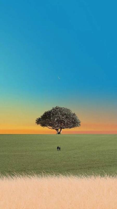 Tải ảnh phong cảnh tuyết rơi đẹp cho máy tính 2