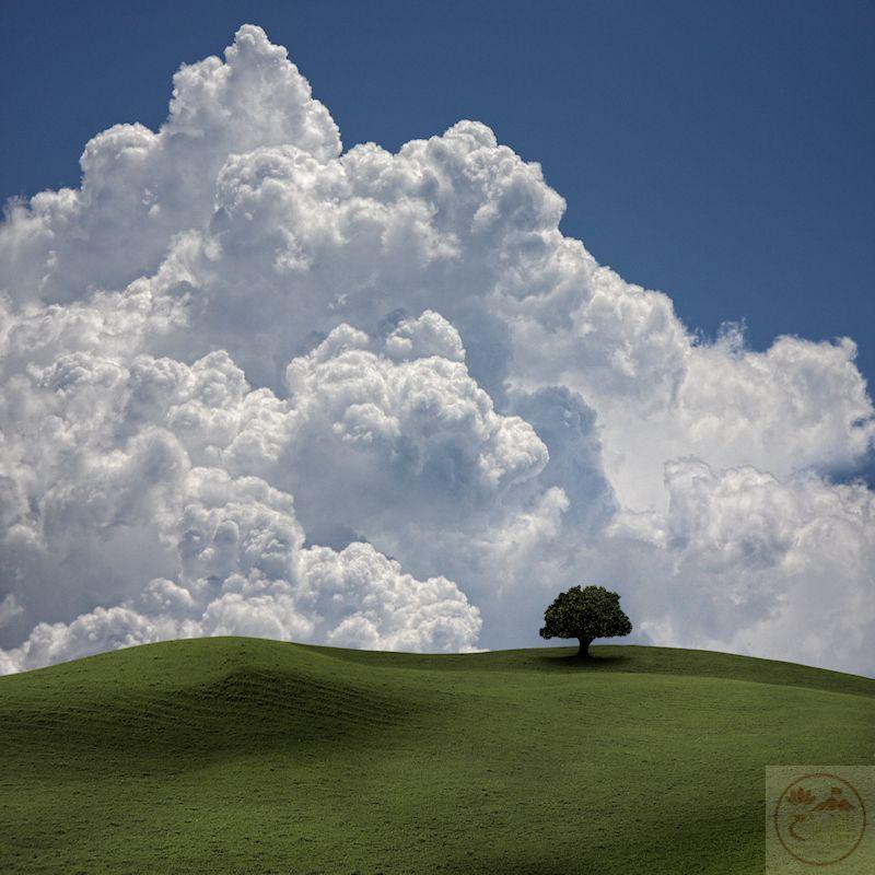 Bầu trời nhẹ nhàng như khoảng lặng giúp tâm hồn thêm phần an yên