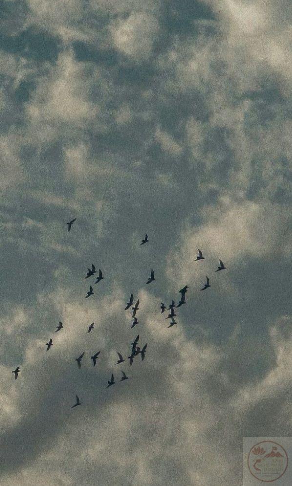 Khi gió thổi qua mây, nỗi nhớ trong tim cũng lay động