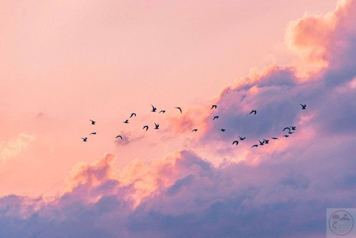 Chỉ cần ngước nhìn bầu trời cao, bao ưu phiền dường như tan biến