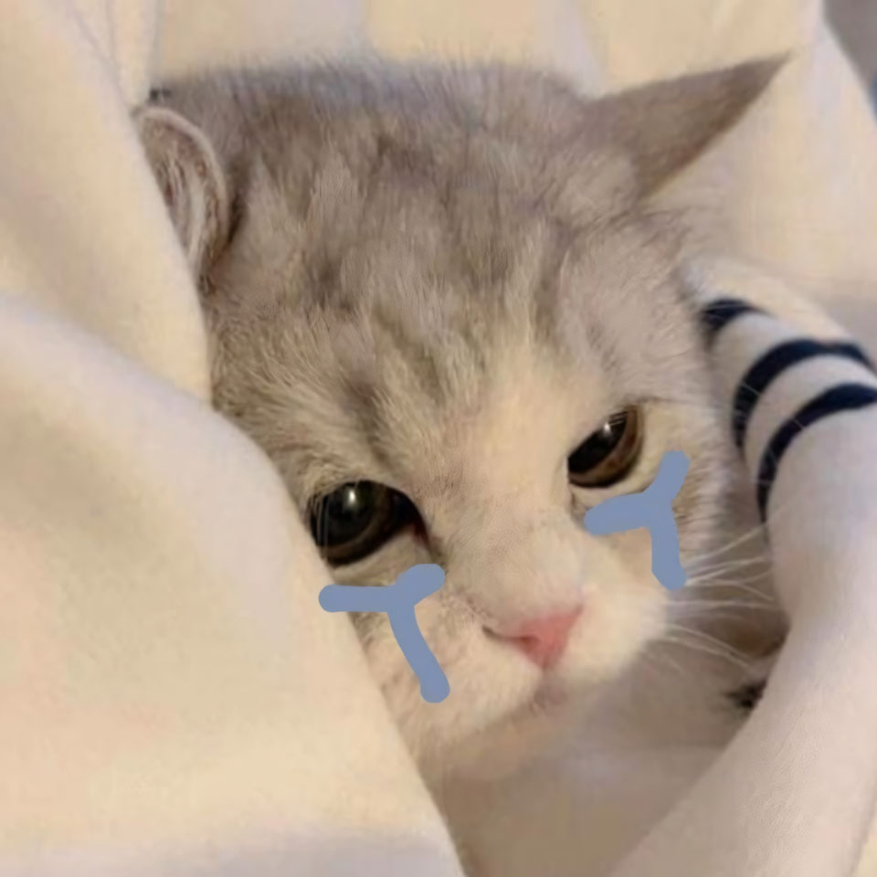 anh meme meo buon 960px 960px avaatar 1