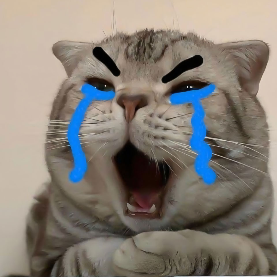 anh meme meo buon 960px 960px avaatar 6