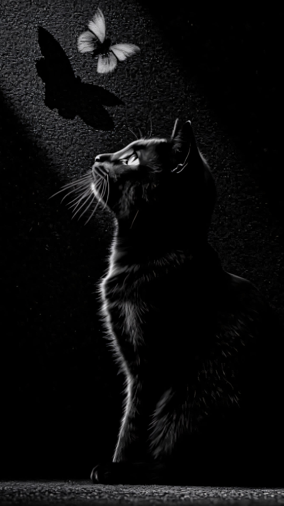 anh meo buon co don 1920px 1080px full hd 4