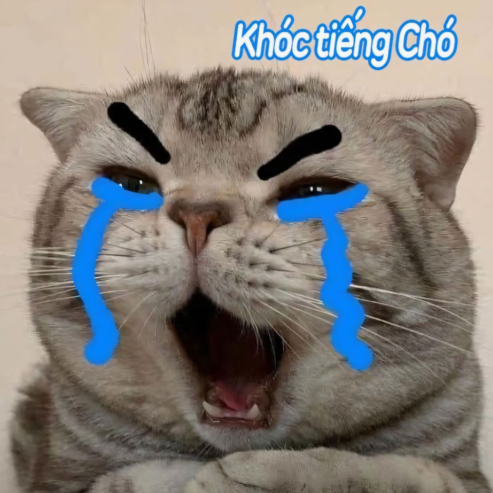 hinh anh meo buon khoc 960px 960px avaatar 1