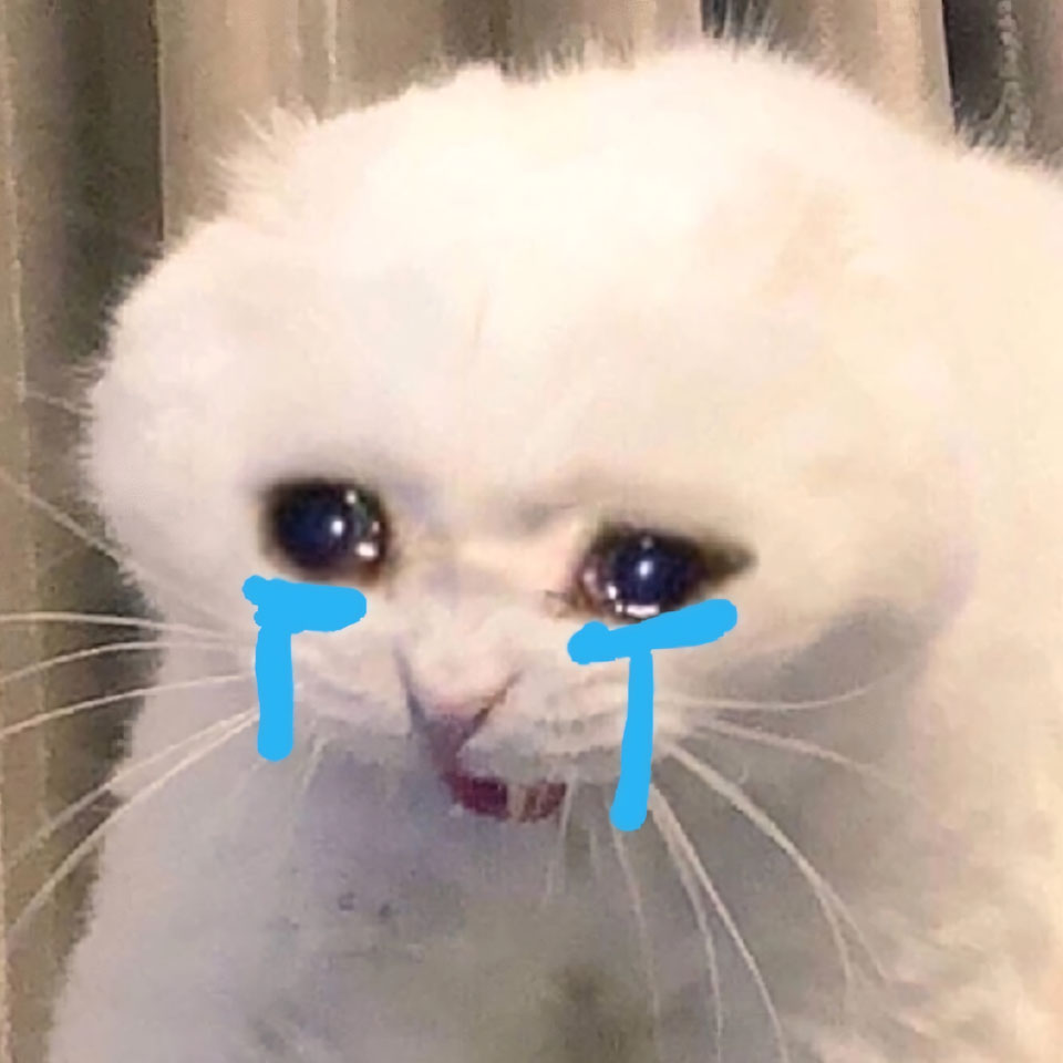 hinh anh meo buon khoc 960px 960px avaatar 3