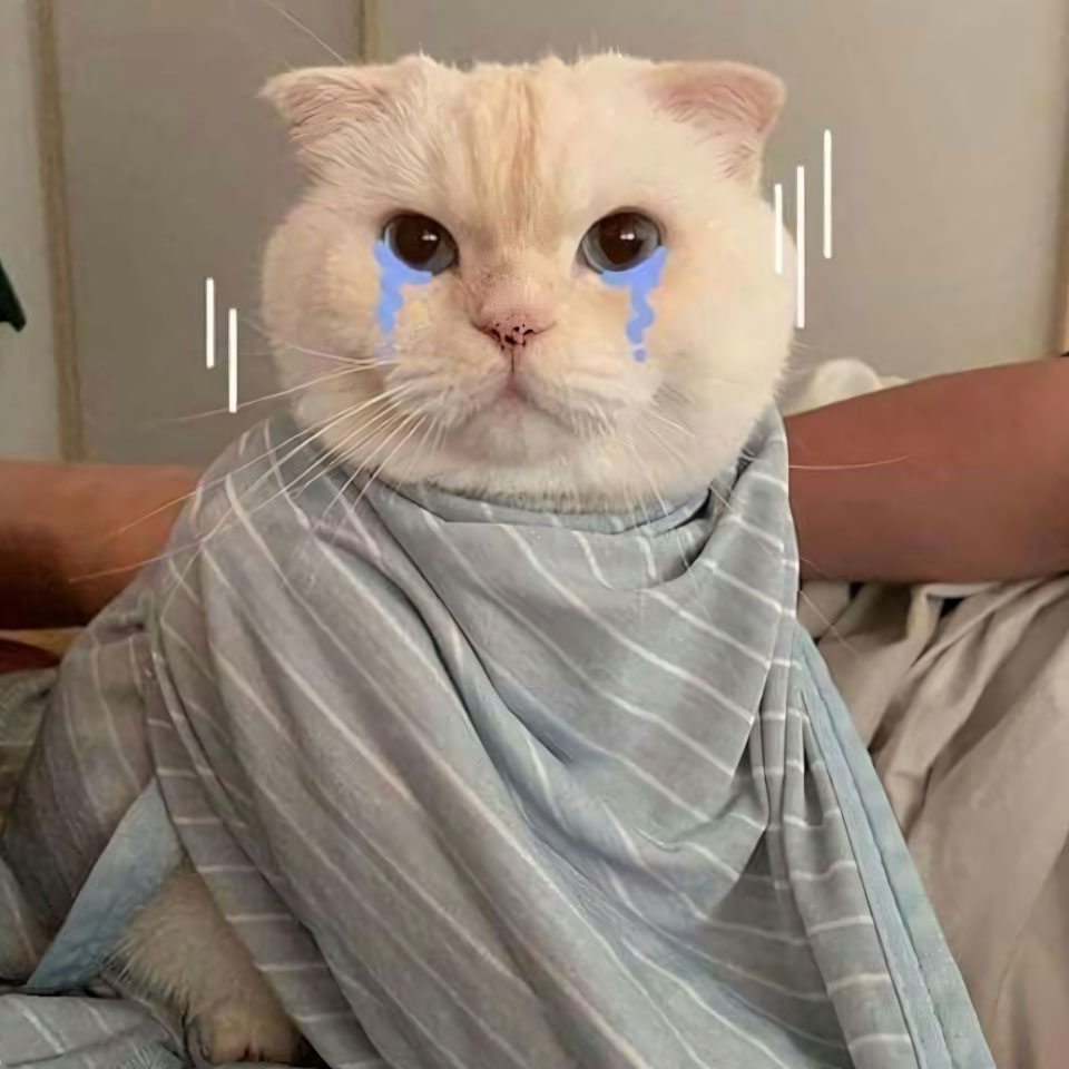 hinh anh meo buon khoc 960px 960px avaatar 8