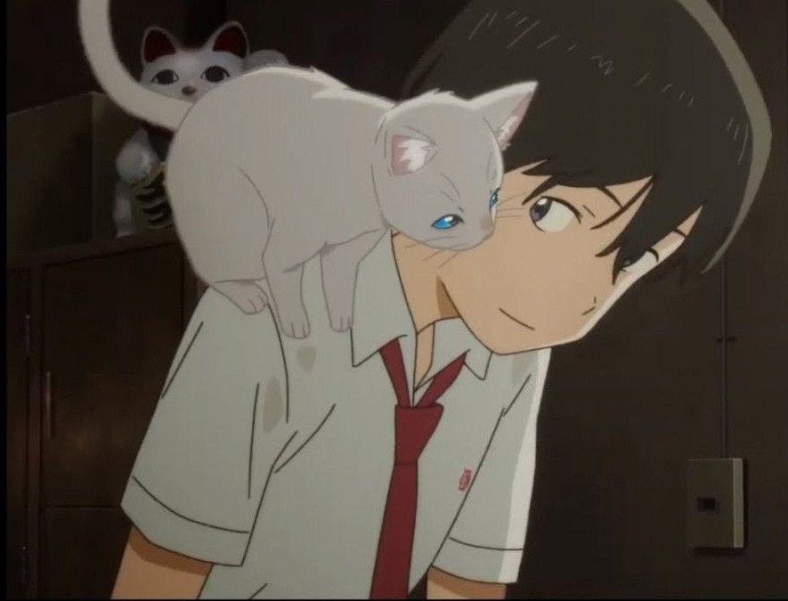 Avatar mèo anime style Hàn