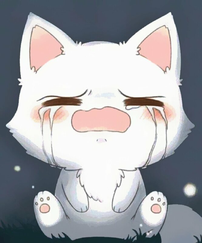 Avatar mèo chibi anime