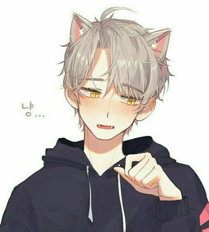 hình nền catboy đẹp