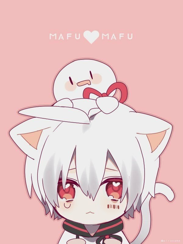 Hình nền mèo nam lạnh