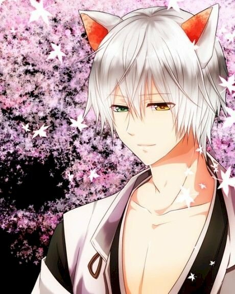 Mèo anime nổi tiếng