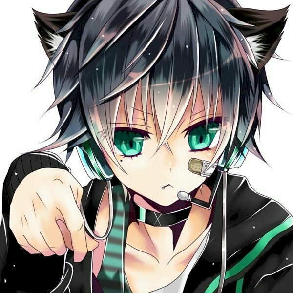 Ảnh mèo nam anime 4K