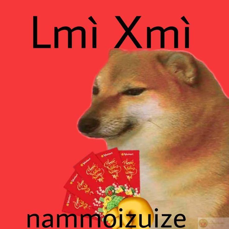 Meme Tết độc đáo là lựa chọn tuyệt vời để chào đón năm mới