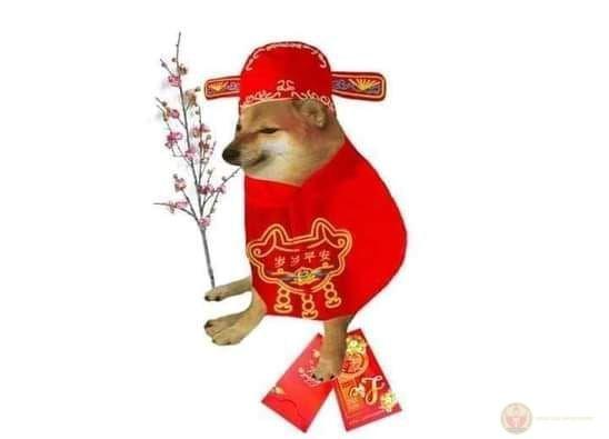 Tiếng cười lan tỏa khắp nơi nhờ bộ sưu tập ảnh meme Tết