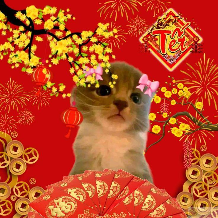 Tiếng cười giòn giã từ ảnh meme Tết khiến ngày xuân thêm đáng nhớ