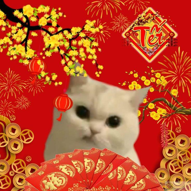 Sự sáng tạo trong ảnh meme Tết làm mùa xuân thêm đáng nhớ