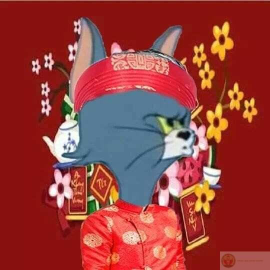 Ngày Tết thêm trọn vẹn ý nghĩa nhờ những ảnh meme Tết sáng tạo