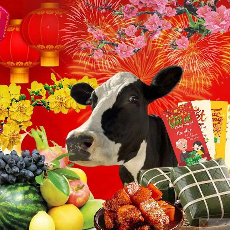 Meme Tết ngộ nghĩnh luôn tạo ra bầu không khí đầy ắp tiếng cười