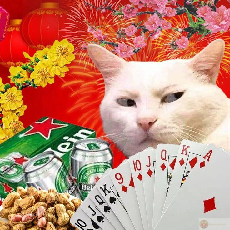 Meme Tết dí dỏm giúp ngày lễ hội thêm trọn vẹn tiếng cười