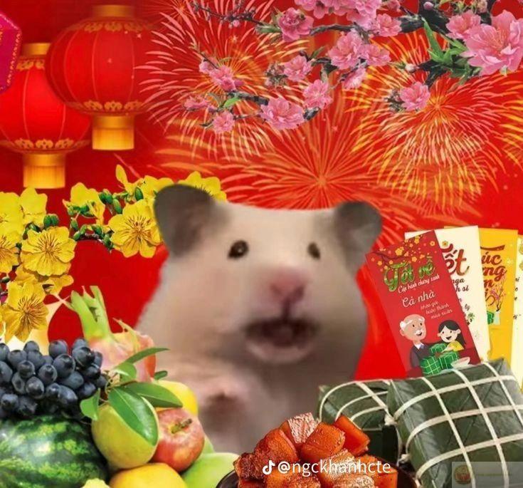 Meme Tết đặc sắc góp phần làm cho ngày lễ hội thêm rộn ràng