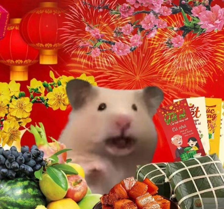 Chia sẻ ảnh meme Tết để cùng nhau đón năm mới thật vui tươi