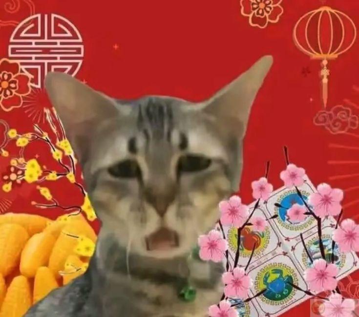 Ảnh meme Tết rộn ràng góp phần tạo nên mùa lễ hội náo nhiệt