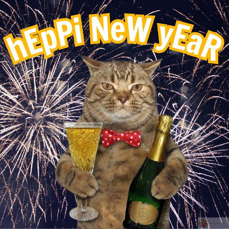 Ảnh meme Tết hài hước là lựa chọn tuyệt vời cho ngày đầu năm