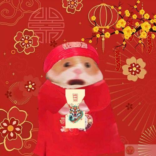 Ảnh meme Tết lan tỏa sự vui vẻ đến từng khoảnh khắc năm mới