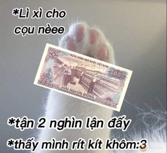 Tiếng cười từ meme Tết khiến ngày xuân thêm phần ý nghĩa