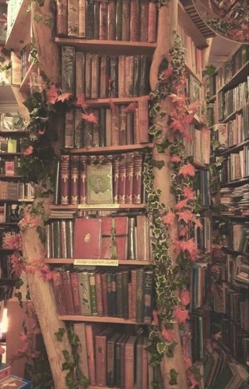 Wallpaper chill học tập