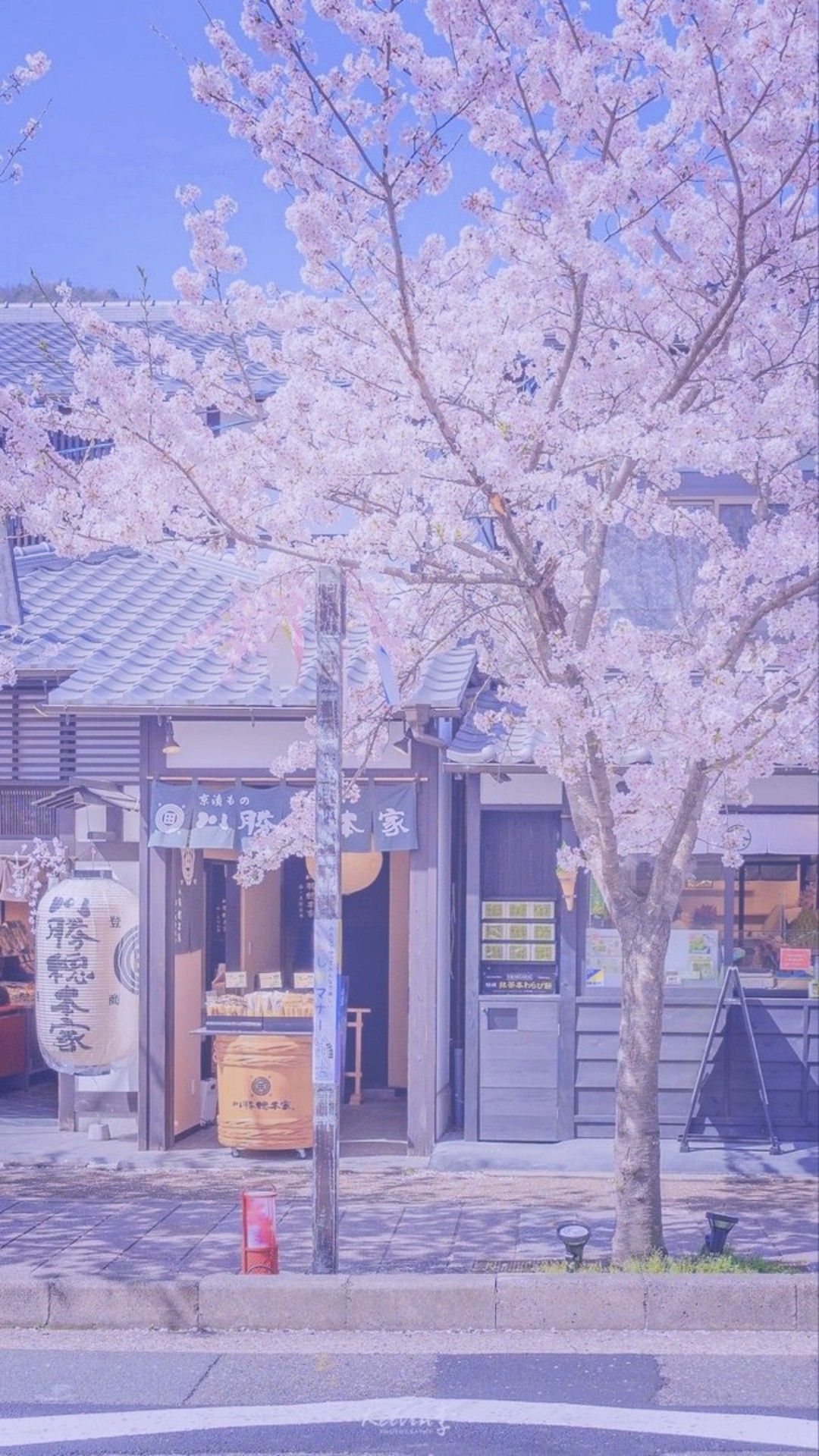 Hình nền màu tím đẹp, ấn tượng nhất