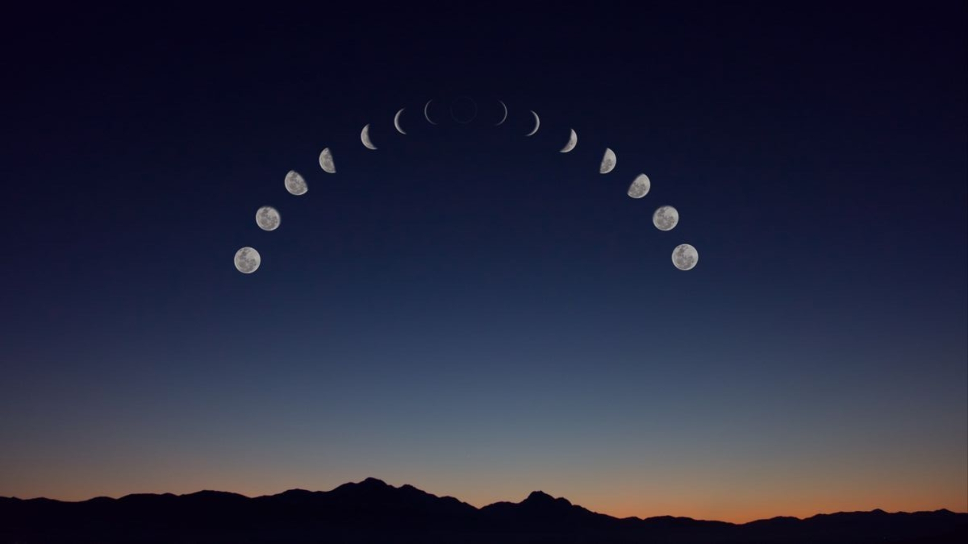 mau background den 24