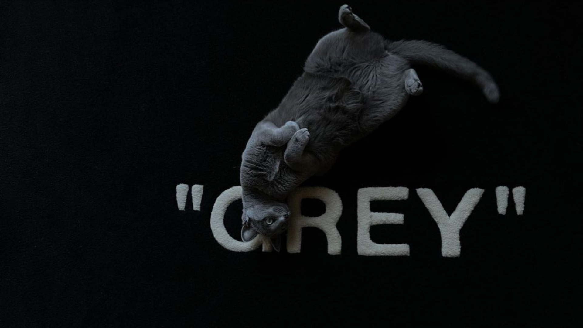 mau background den 25