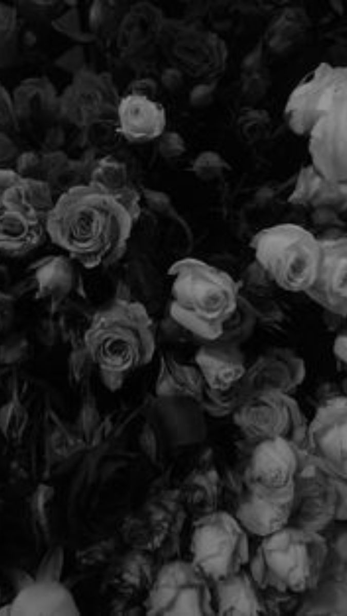 Hình nền điện thoại đẹp ngầu lửa