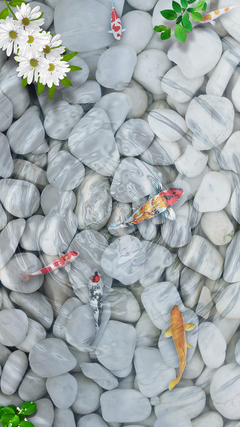 hình nền may mắn cá chép