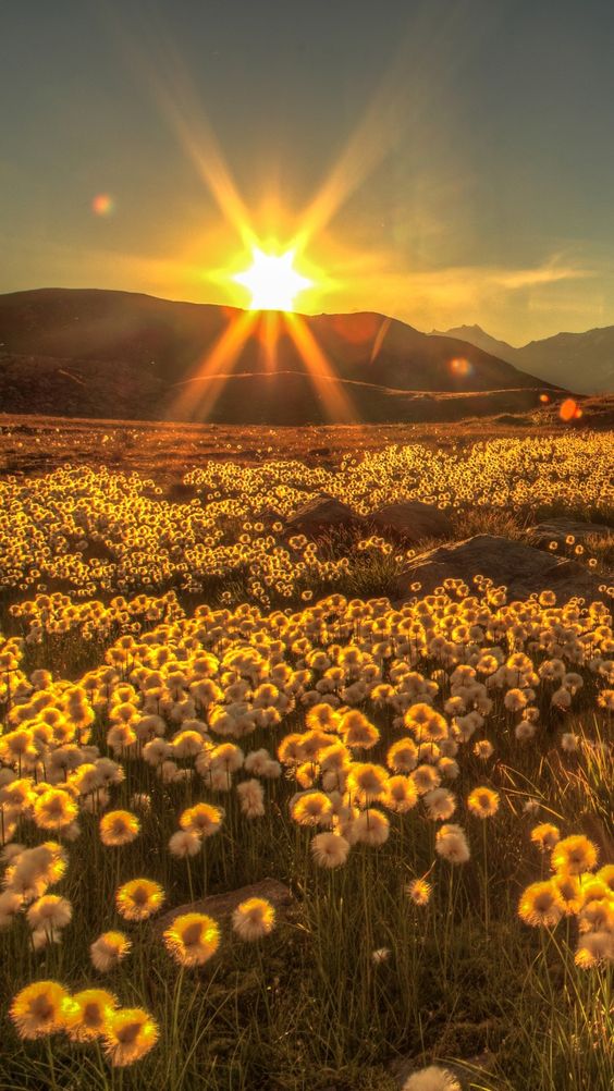 hình ảnh bầu trời hoàng hôn