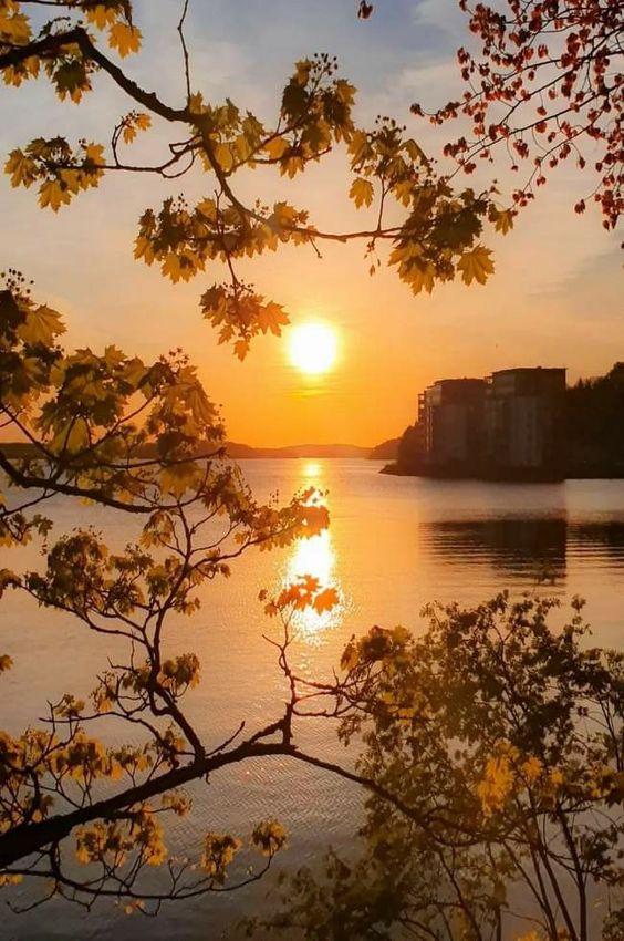 hình nền bầu trời hoàng hôn