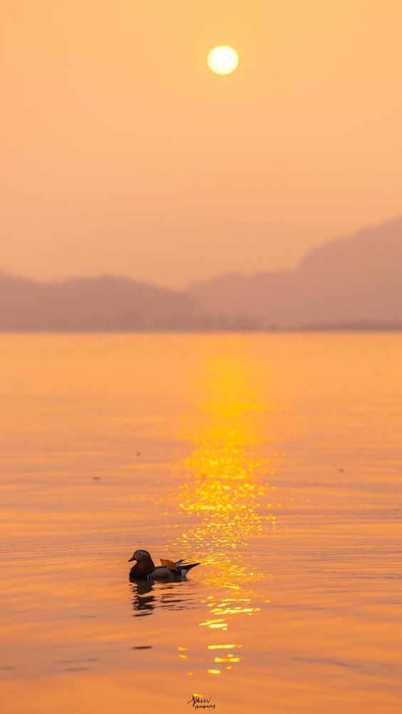 hình ảnh bầu trời hoàng hôn