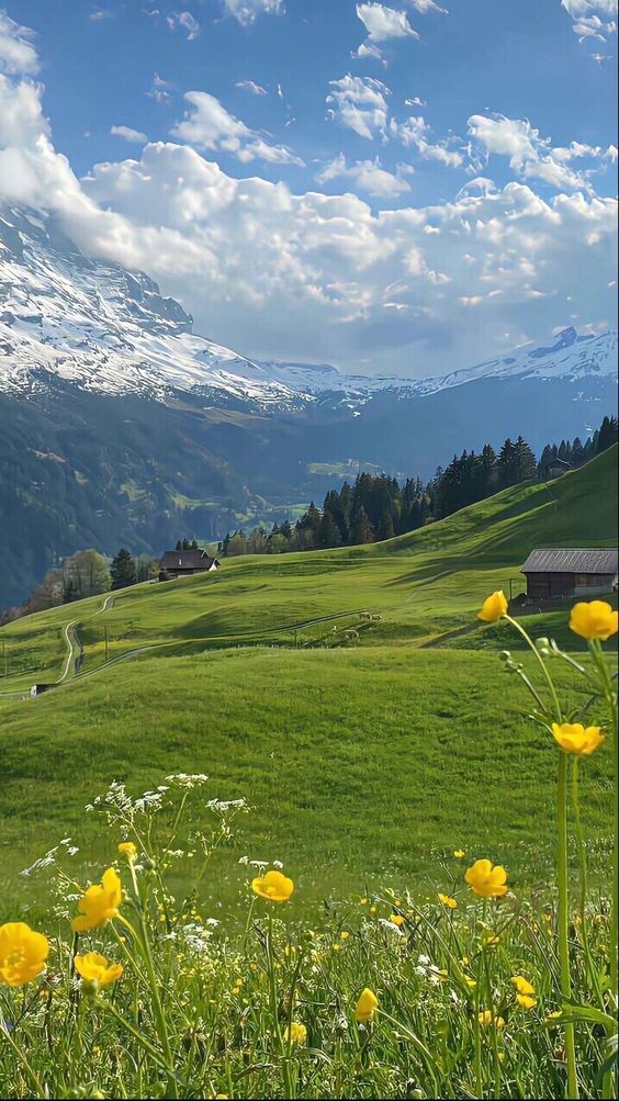 hình nền bầu trời cute