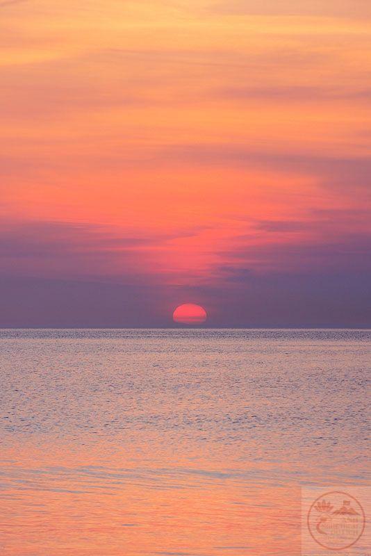 Người ta thường tìm thấy hy vọng trong những điều giản dị nhất