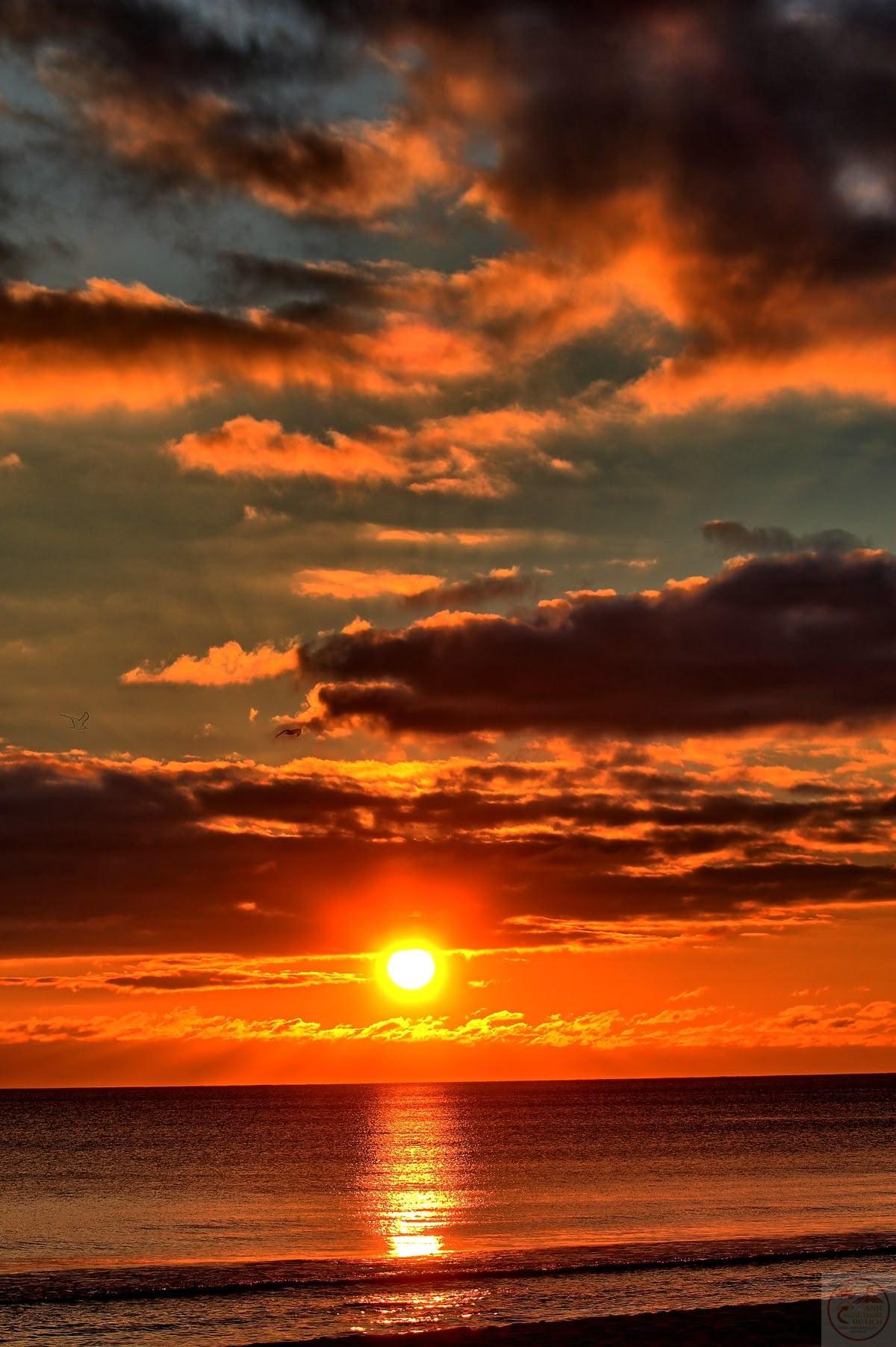 Không cần quá nhiều điều cũng đủ để lòng người thấy dễ chịu